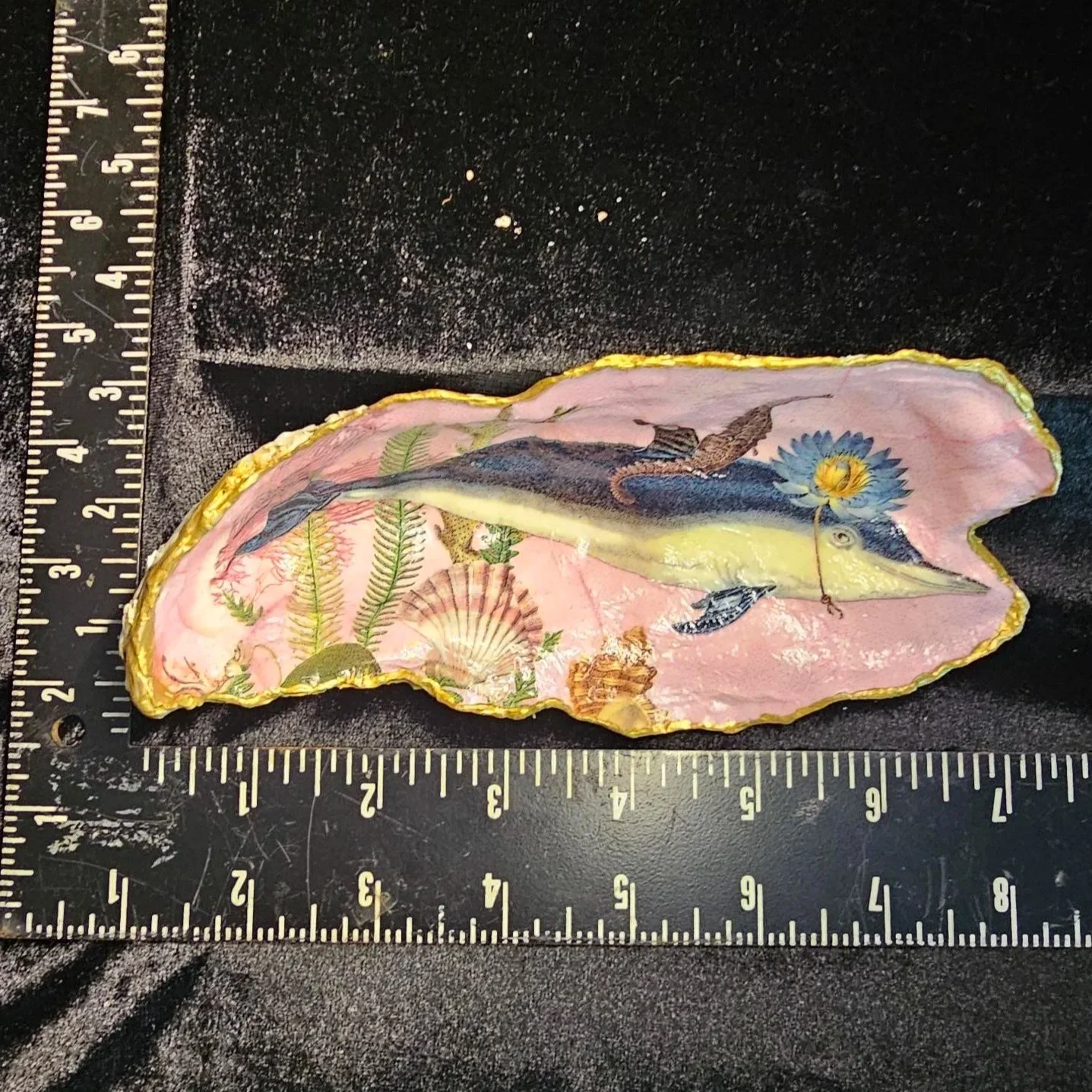shell-yeah-Dolphin-pink.jpg