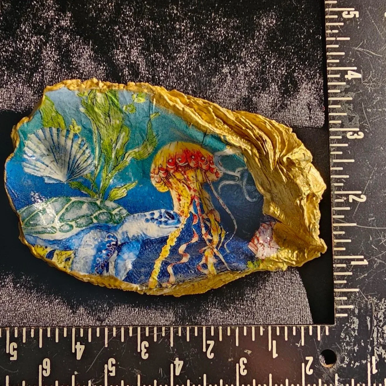 shell-yeah-turtle-and-Jellyfish-1-front.jpg