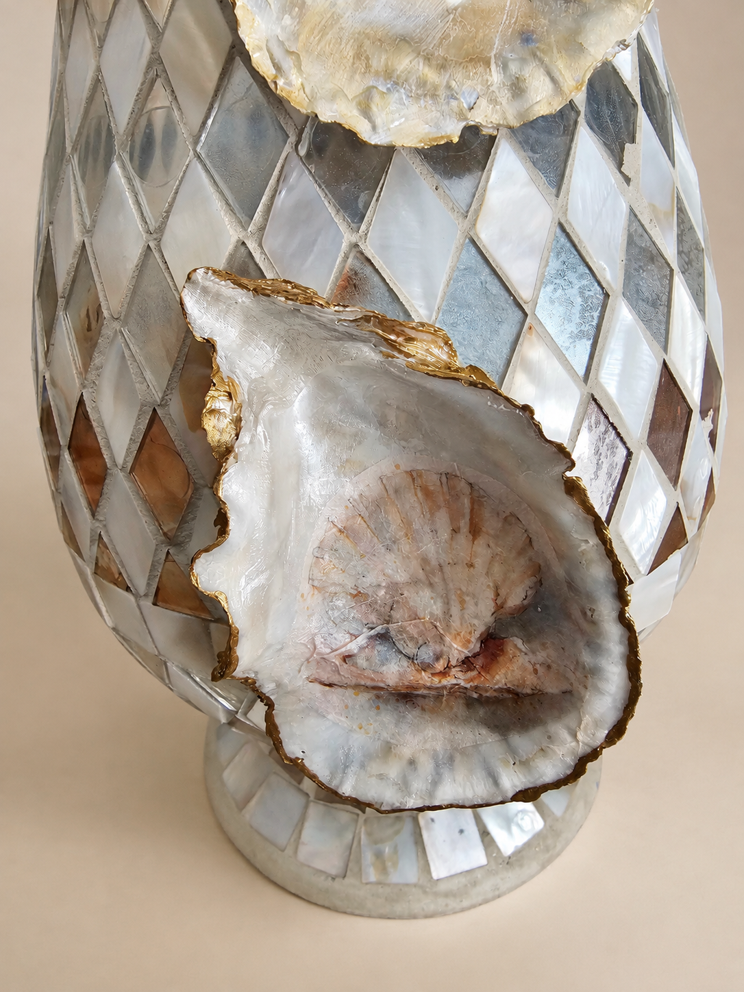 Closeup of shell.png