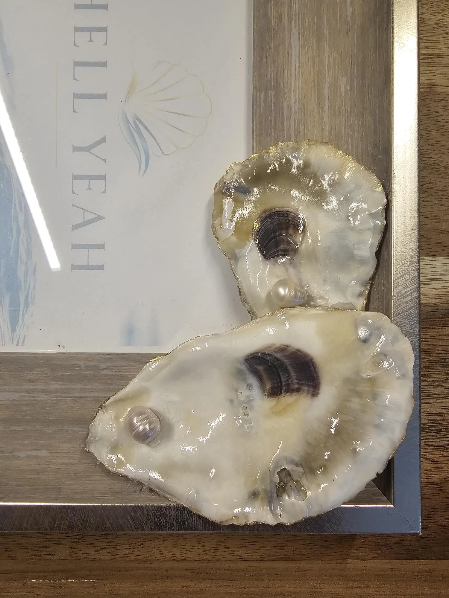 shell-yeah-Washed-wood-frame-with-two-oyster-shells-freshwater-pearl-to-the-right-side-closeup.jpg