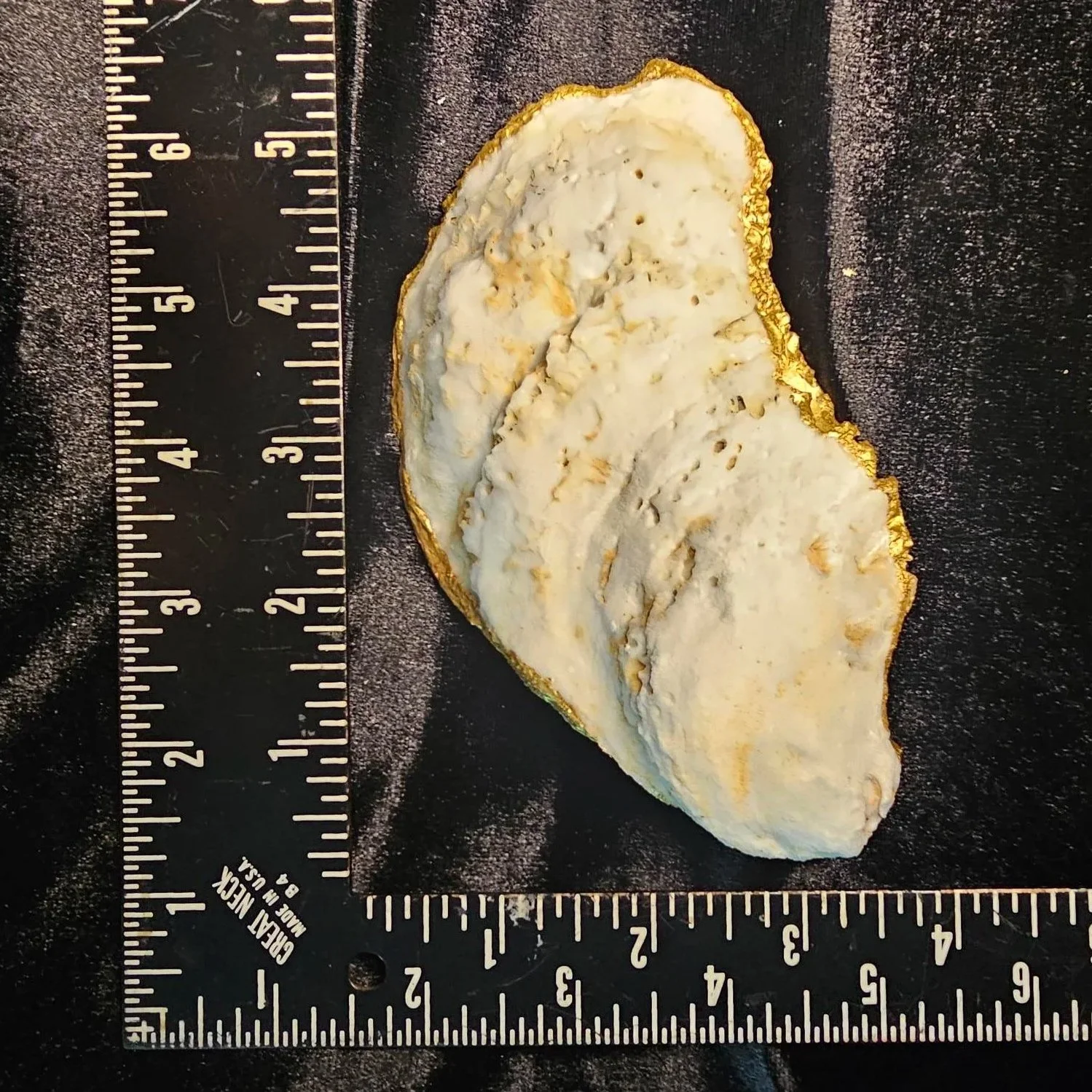 shell-yeah-Christain-Fish-Back.jpg