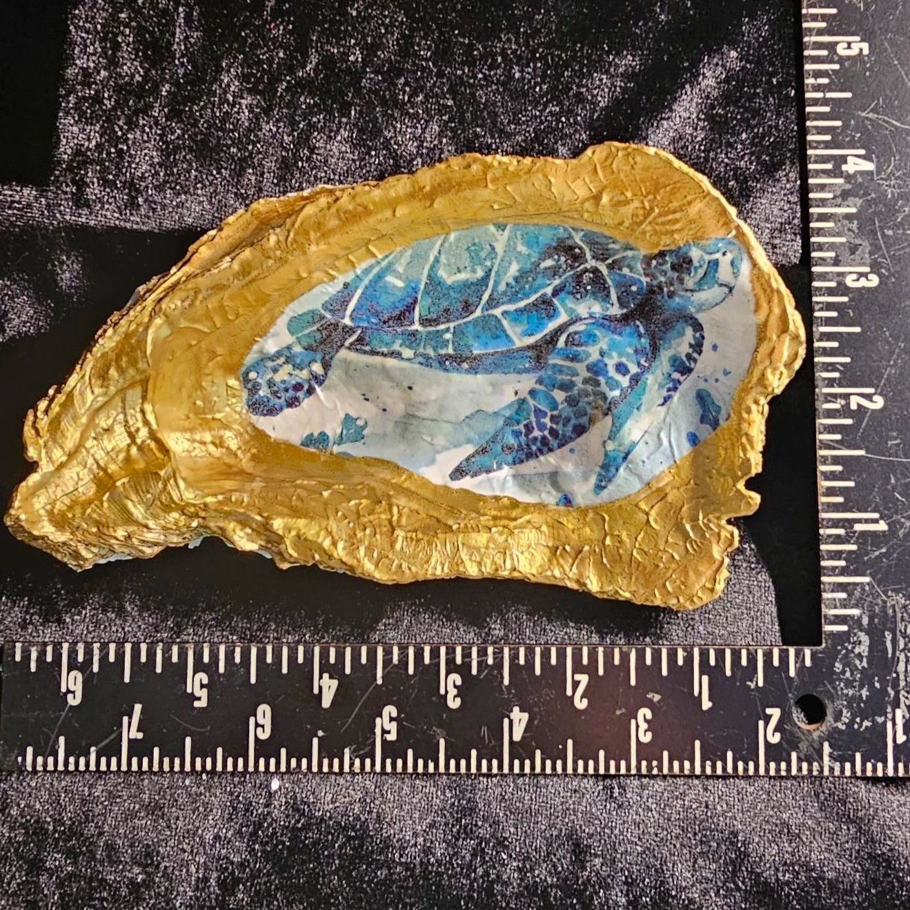 shell-yeah-Blue-and-white-Turtle-front-2.jpg