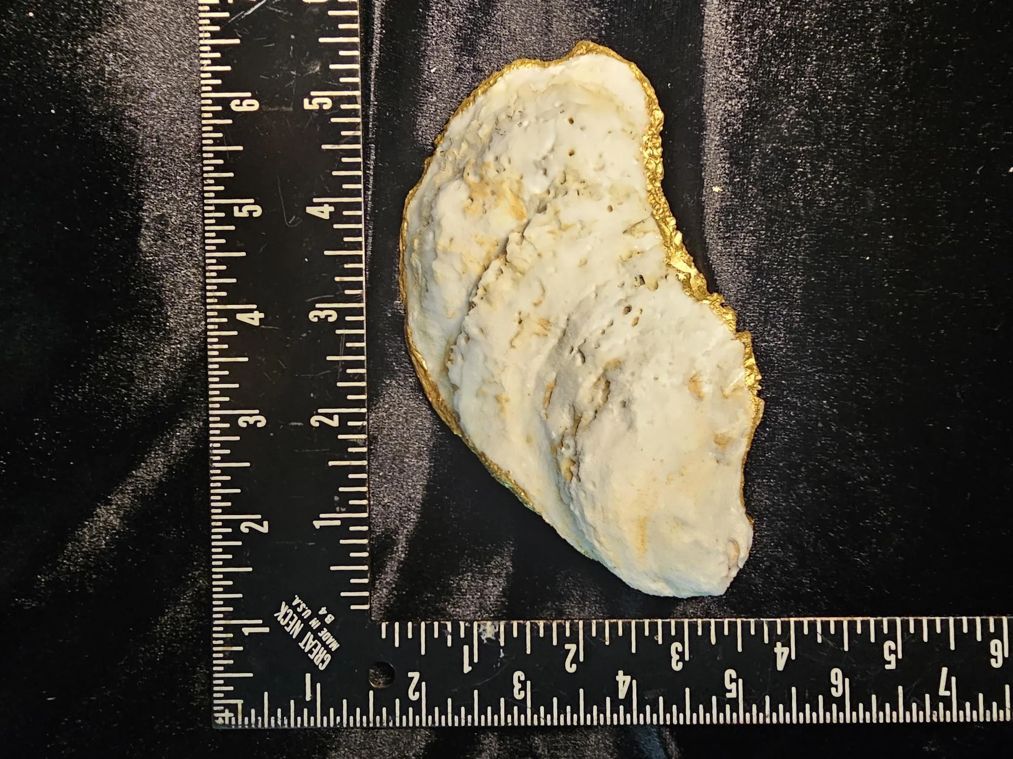 shell-yeah-Christain-Fish-Back.jpg