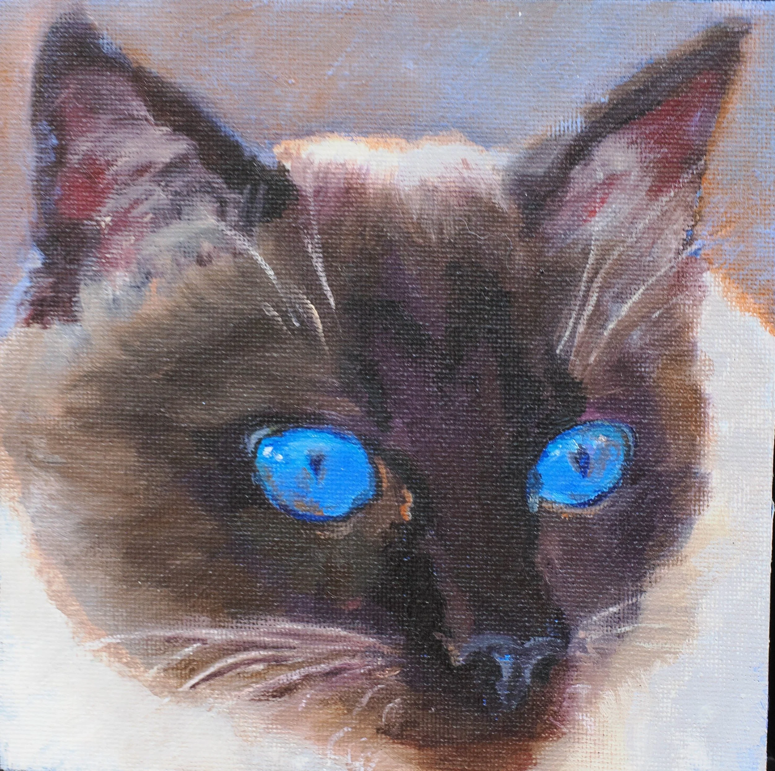 Close-up of an abstract, textured painting of a person's face with eyes closed, showing eyebrow, eyelash, and eyebrow details, with a focus on the eye areas.