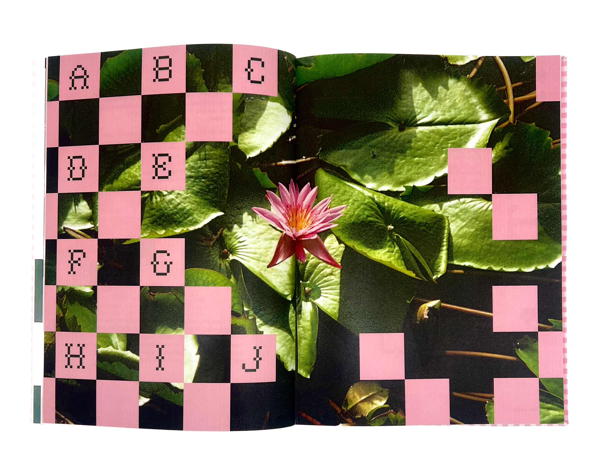 P22 Folk Art Type Study