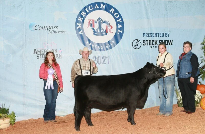 Proving Success of Aberdeen Cattle