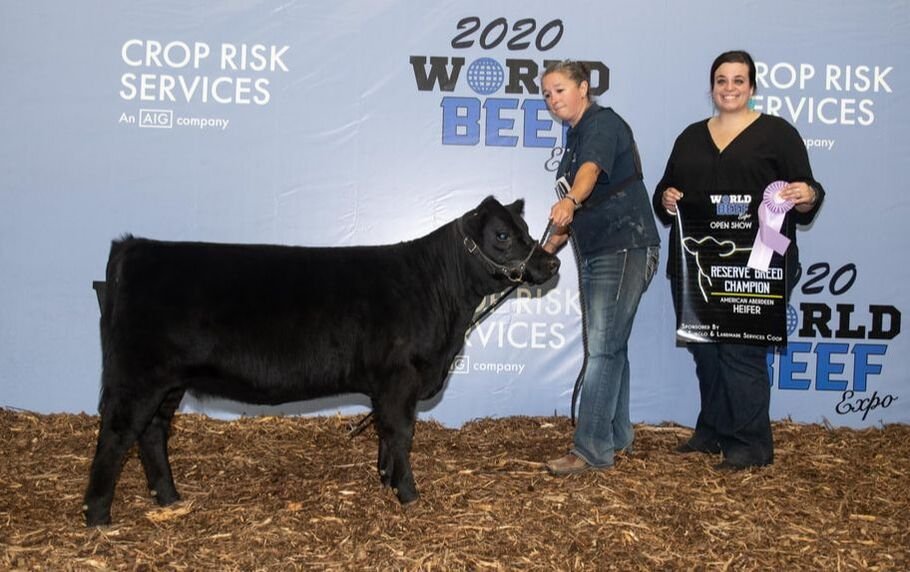 Recent Calves Sales
