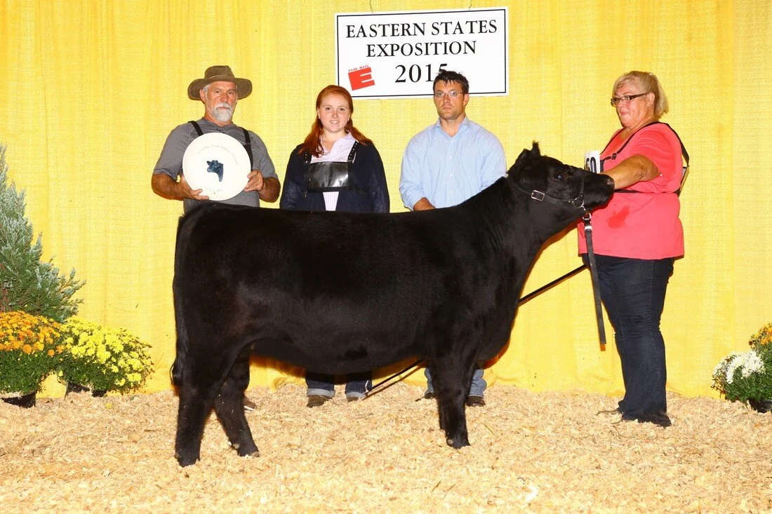 Proving Success of Aberdeen Cattle
