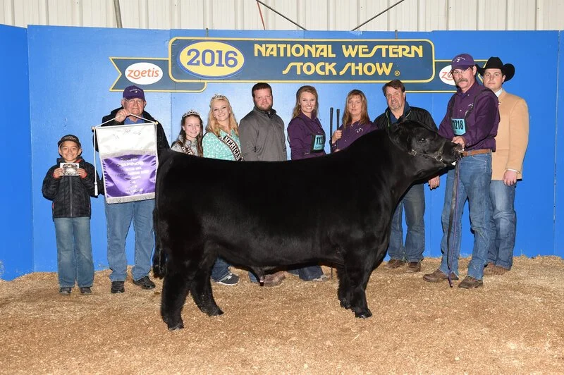 Recent Calves Sales