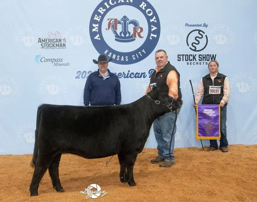 Recent Calves Sales