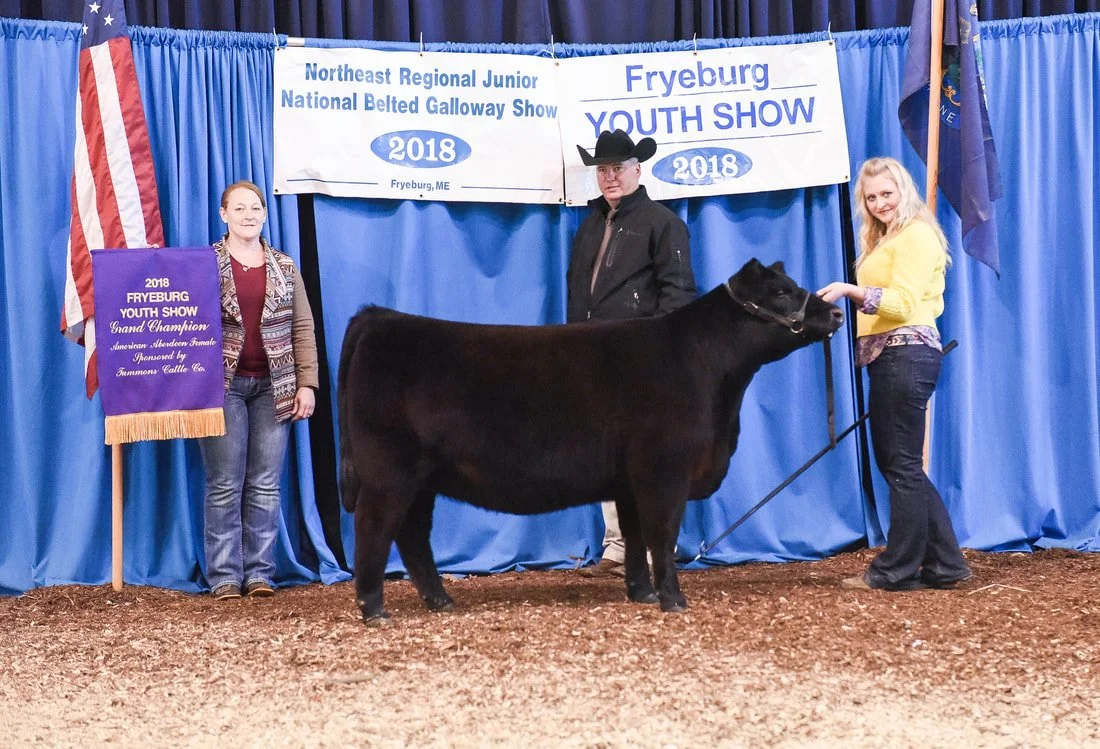 Proving Success of Aberdeen Cattle