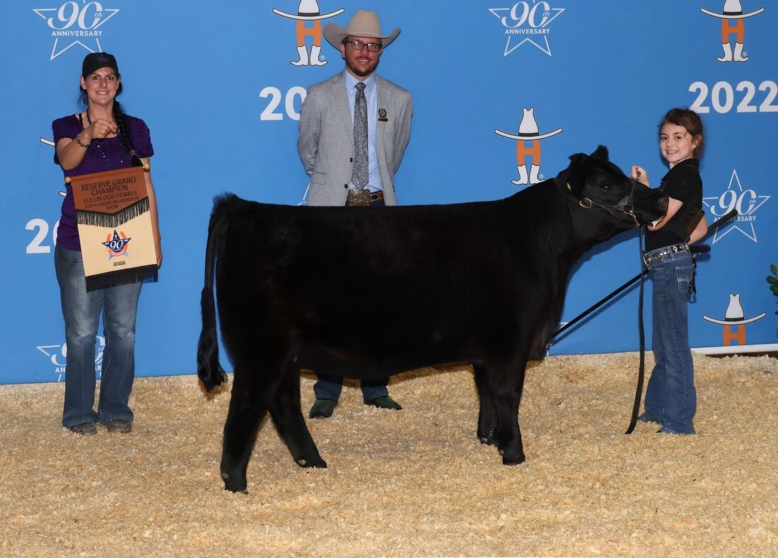 Proving Success of Aberdeen Cattle