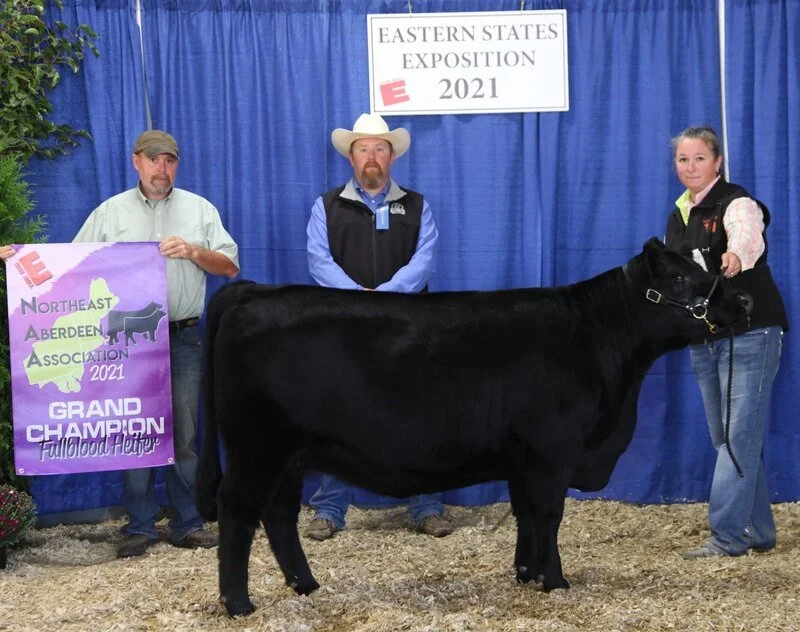 Proving Success of Aberdeen Cattle