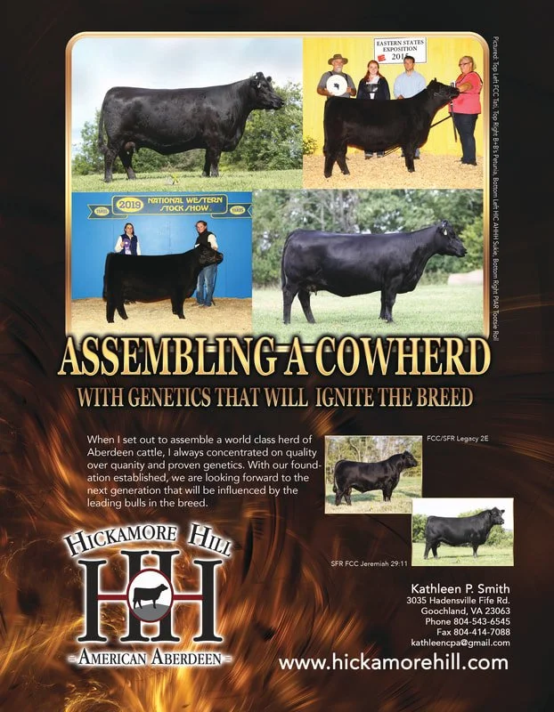 Hickamore Hill American Aberdeen