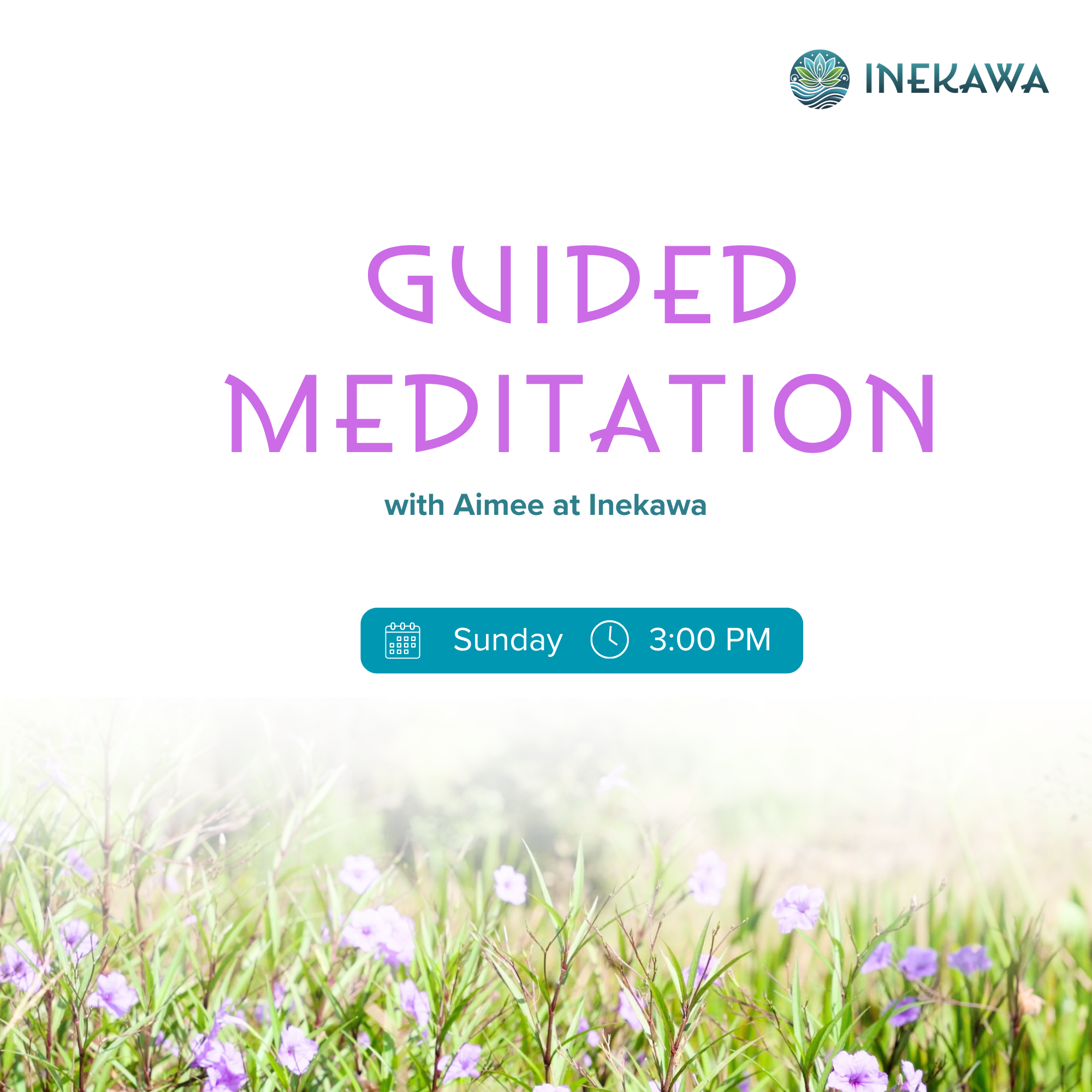 Guided Meditation