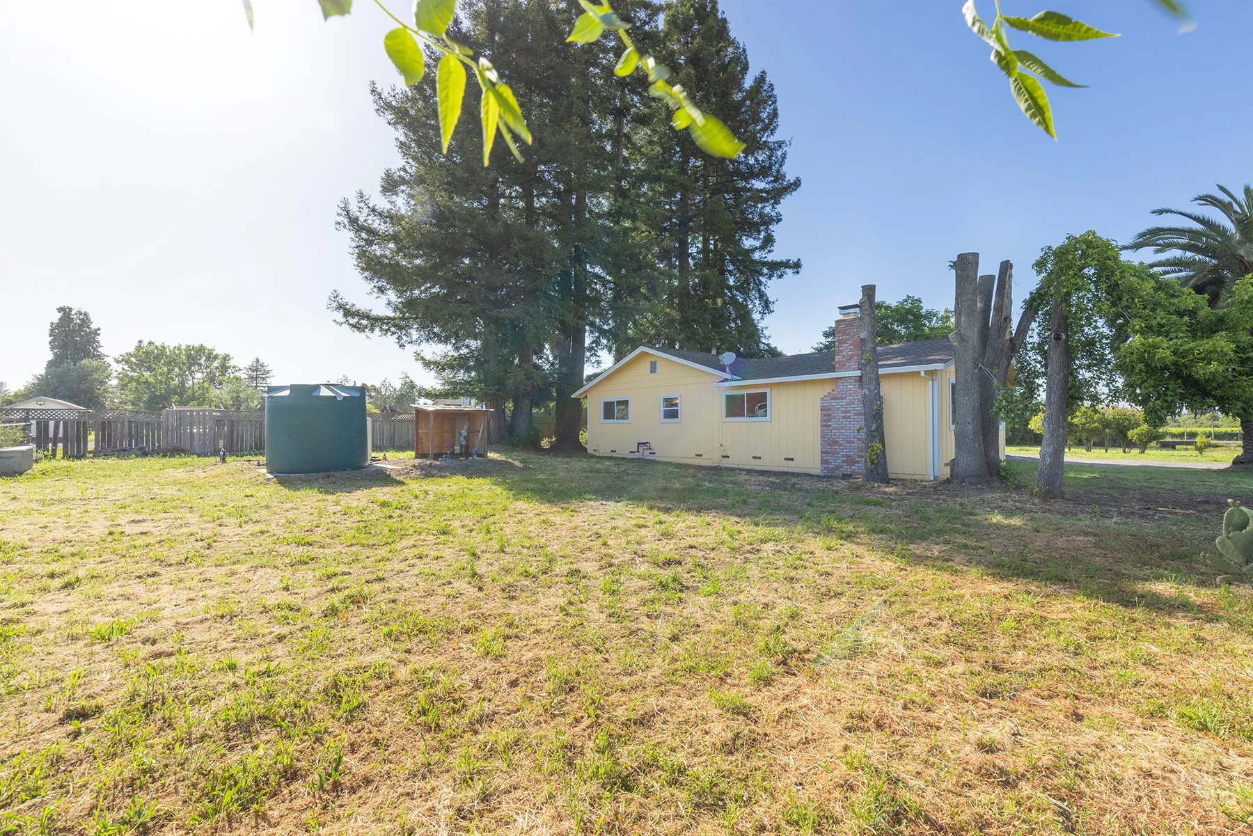Backyard scene with a small yellow house, large trees, a fenced area, and a water tank on a clear, sunny day.