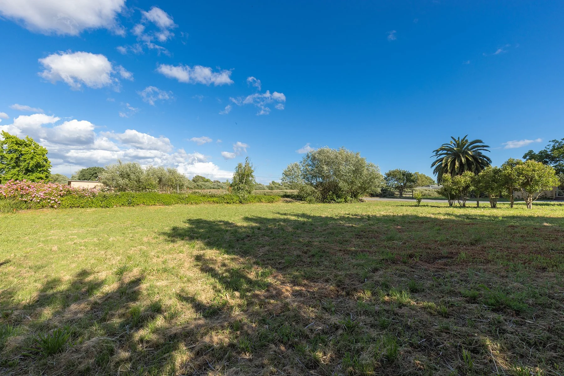 A spacious grassy yard with trees and shrubs, clear blue sky with some white clouds, and shadows cast on the ground by the trees.