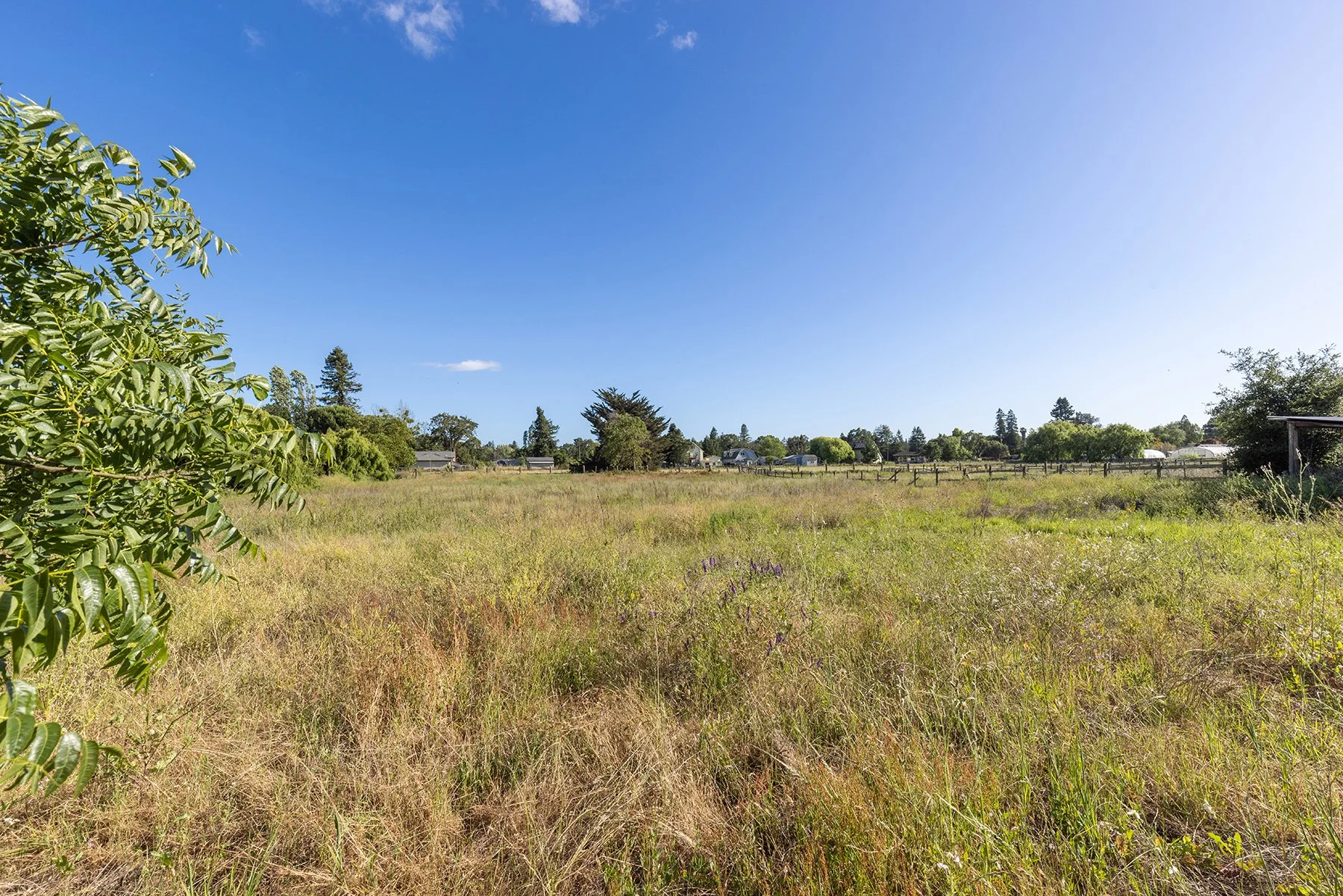 A grassy field with wildflowers and trees, a wooden fence, and houses in the distance under a clear blue sky.