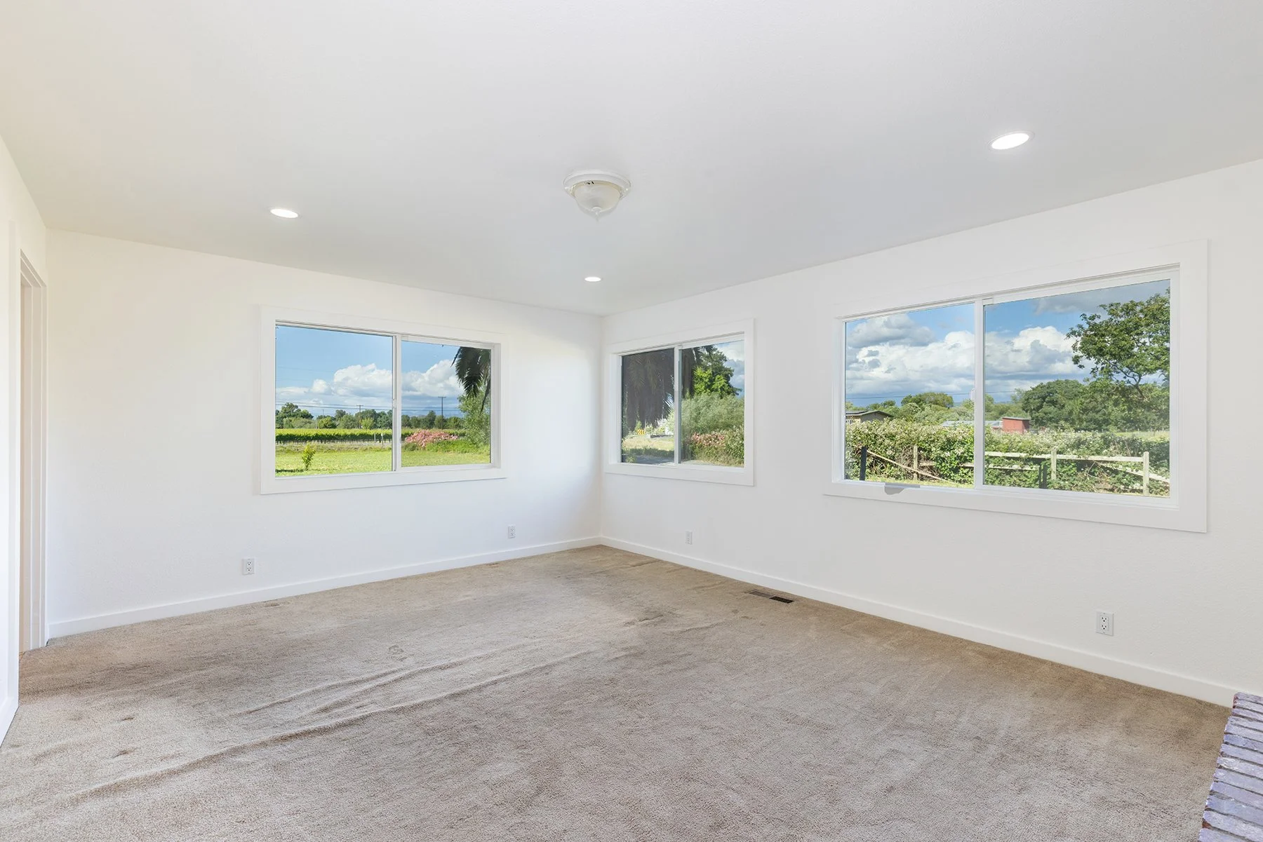 Empty living room with white walls, large windows showing green fields and trees outside, beige carpet, and ceiling lights.