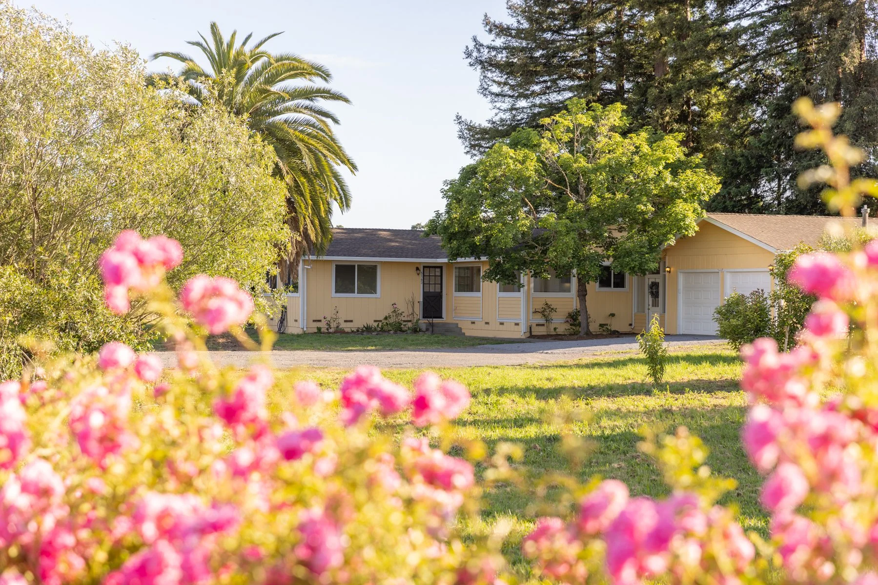 A yellow house with white trim in a garden, surrounded by large trees, pink flowers, and a grassy lawn, with a driveway and a white garage door.