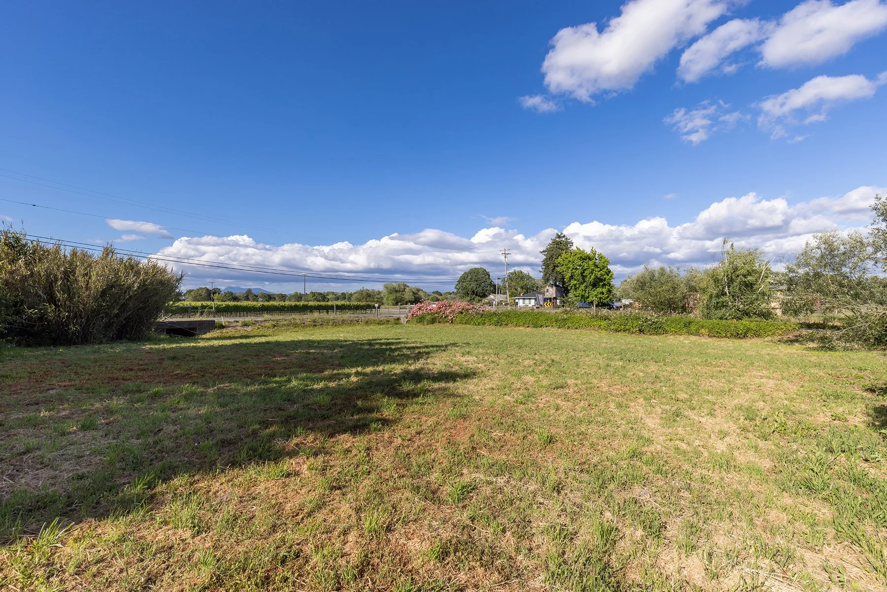 Open grassy field with trees, bushes, and houses in the distance under a blue sky with clouds.