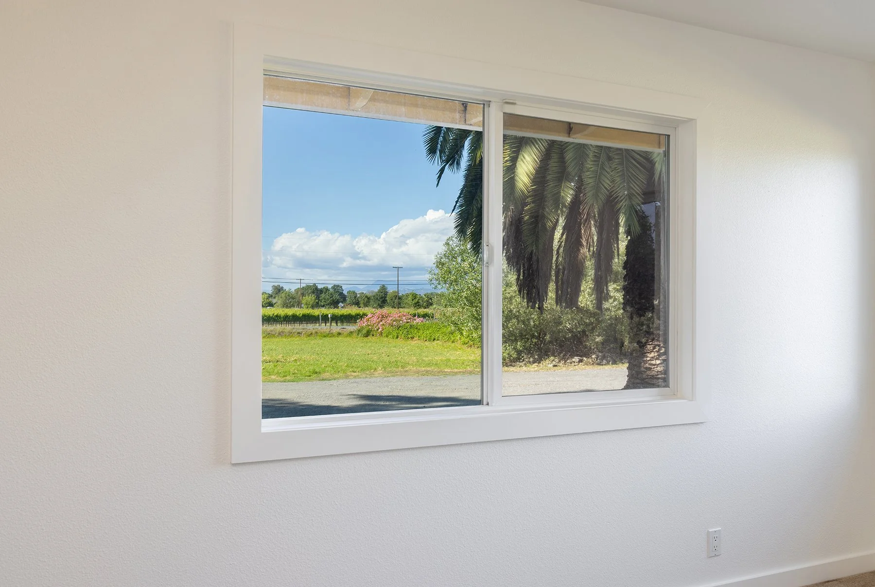View of a green landscape with trees, flowers, and a bright blue sky through a large window in a white room.