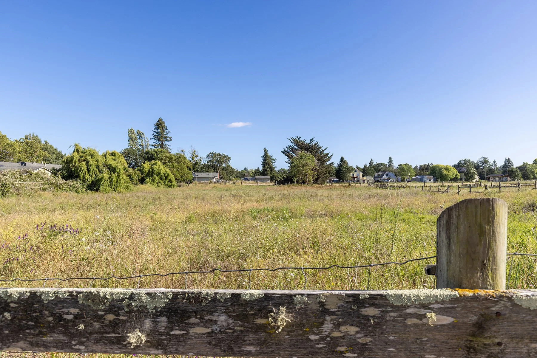 Open field with tall grass, trees, houses in the background, clear blue sky, and a weathered wooden fence in the foreground.