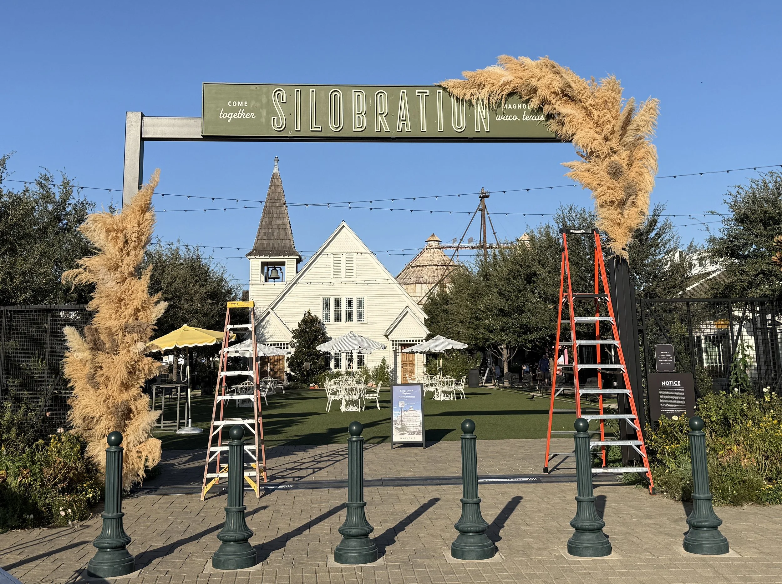 Pampas floral installation | Designer, installation manager | Magnolia