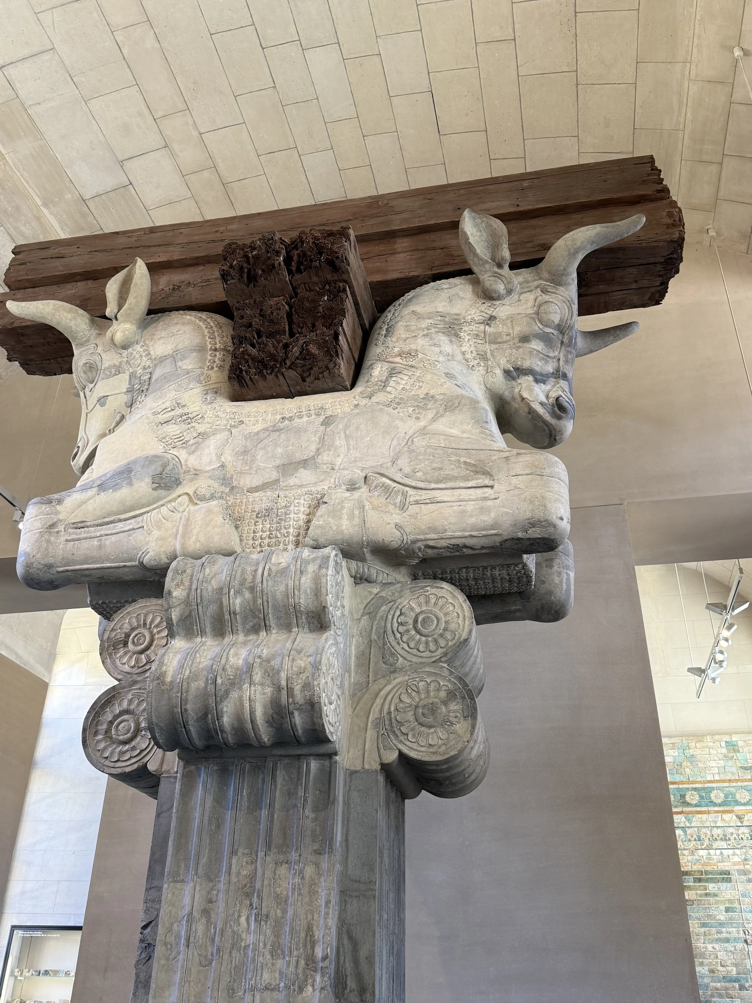 IMG_3207.jpeg