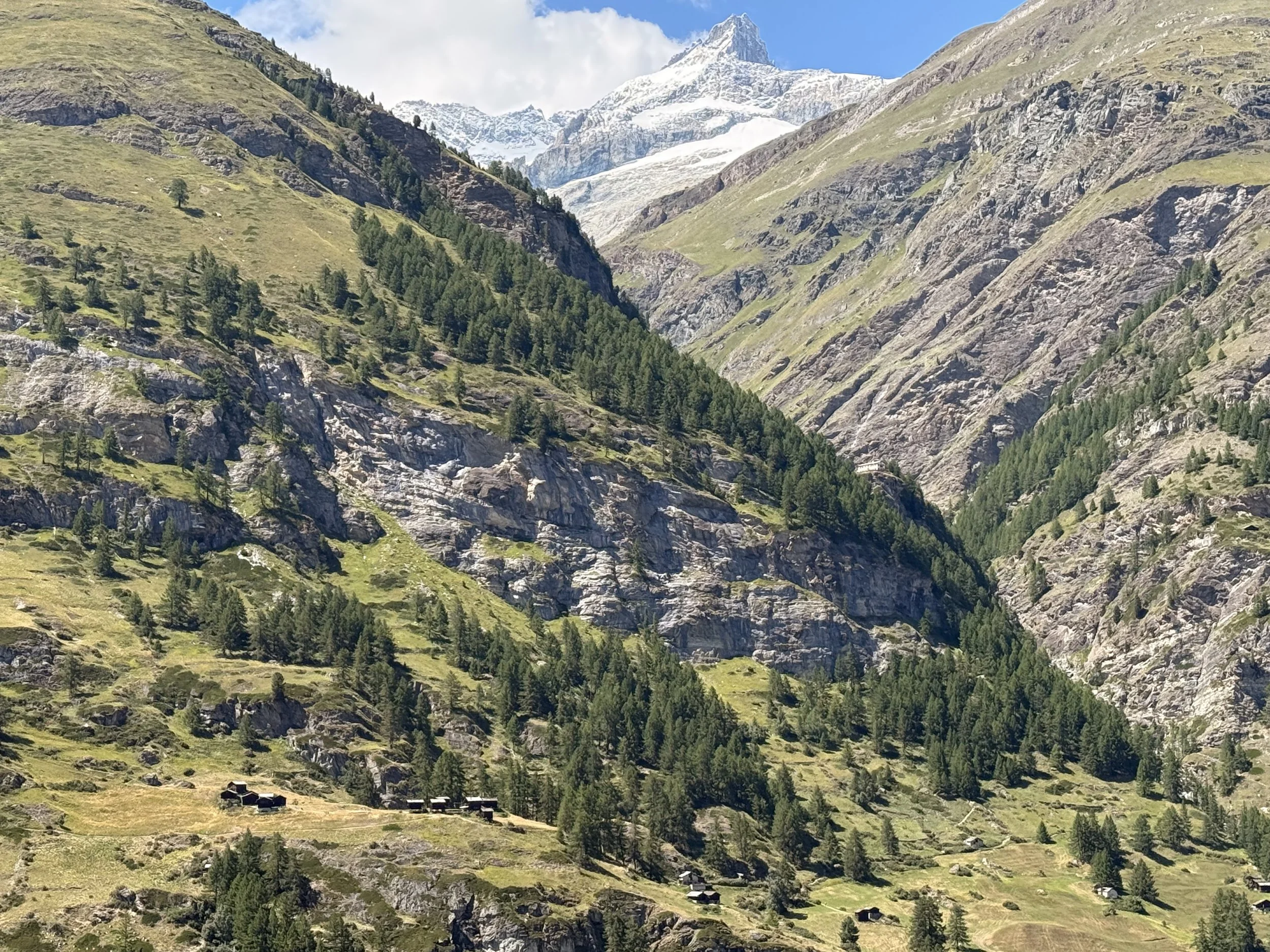 IMG_7034.jpeg