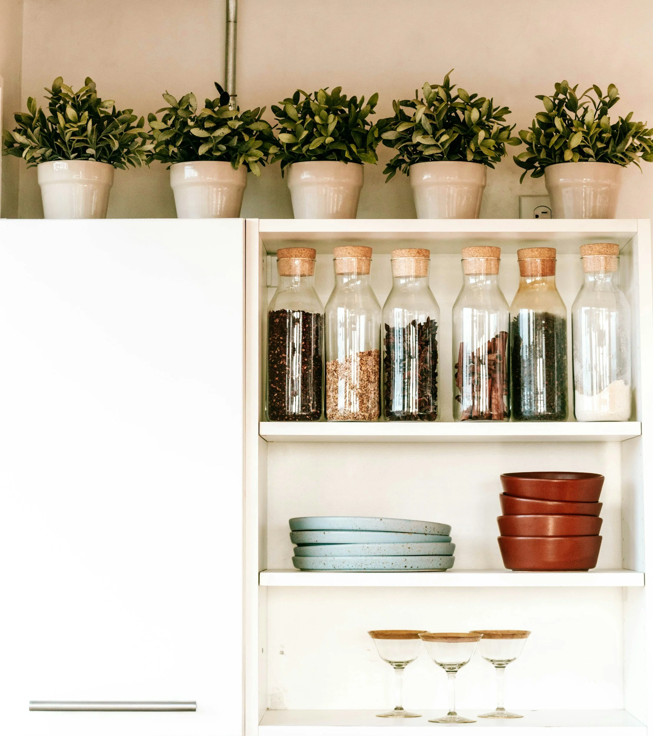 A white kitchen cabinet with potted plants on top, glass jars with spices beneath, stack of blue plates, red bowls, and glassware inside.