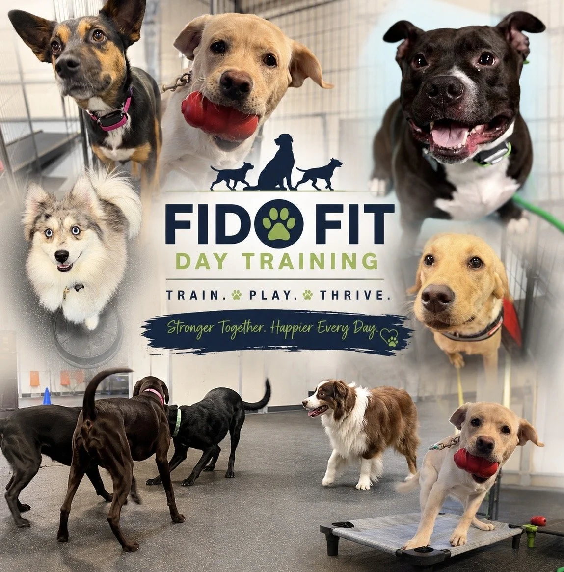 Fido Fit Day Training