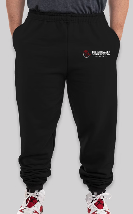 Embroidered Fleece-Lined Sweatpants - DISCONTINUED