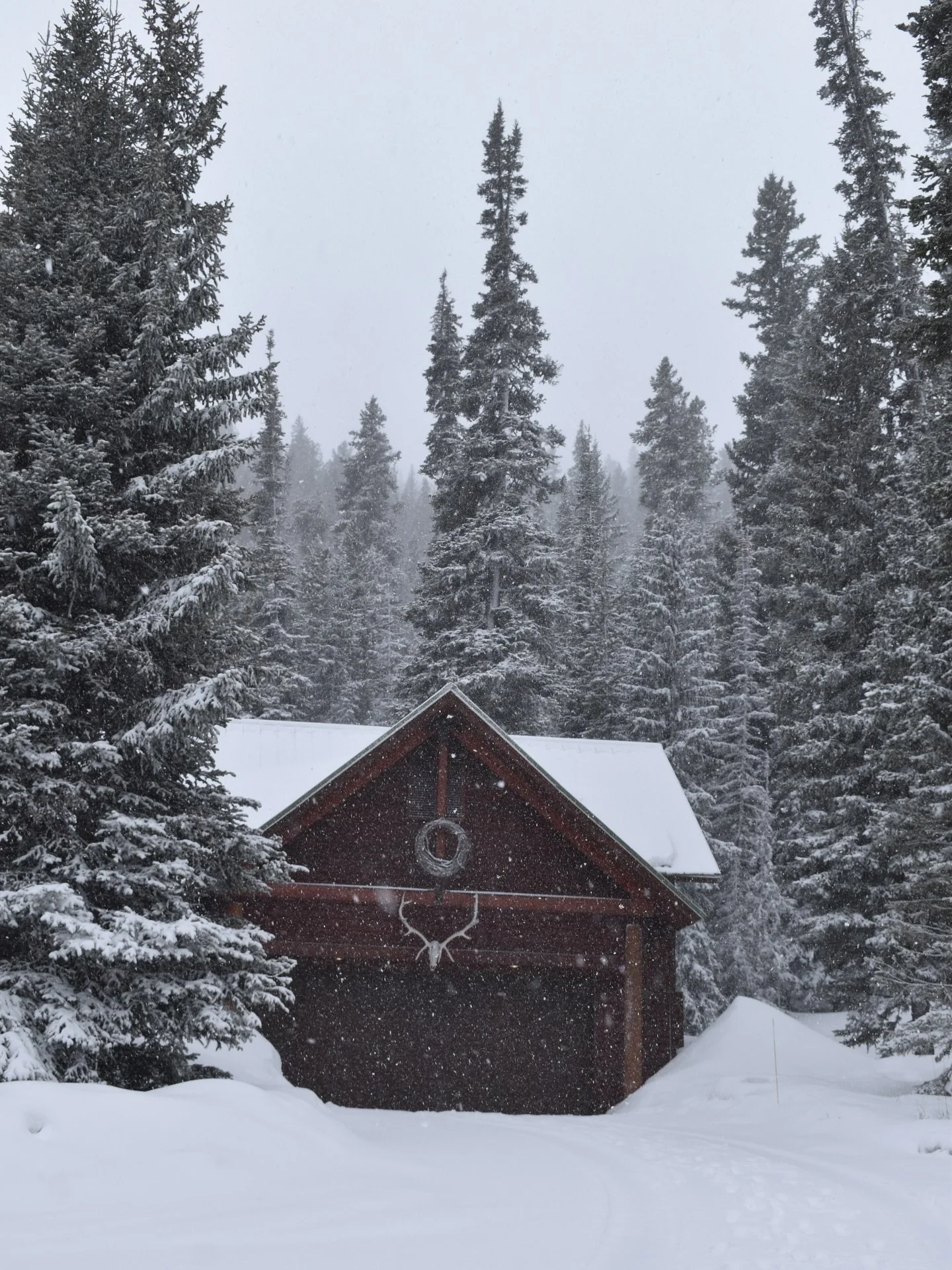 Manifesting a cozy weekend in Montana