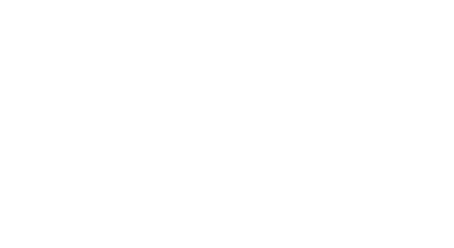 Logo for Four Seasons Preferred Partner with a stylized tree above the text.