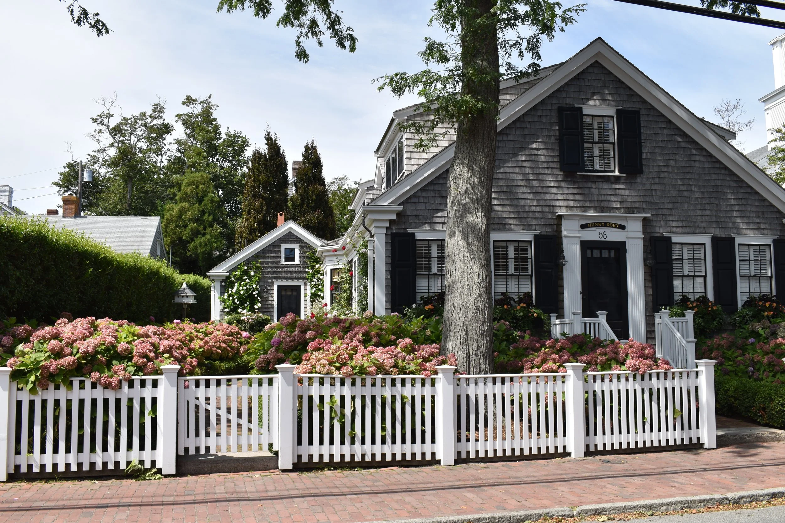 A house with gray wooden shingles, black shutters, and white trim, surrounded by pink hydrangea bushes and a white picket fence, with a brick sidewalk in front.