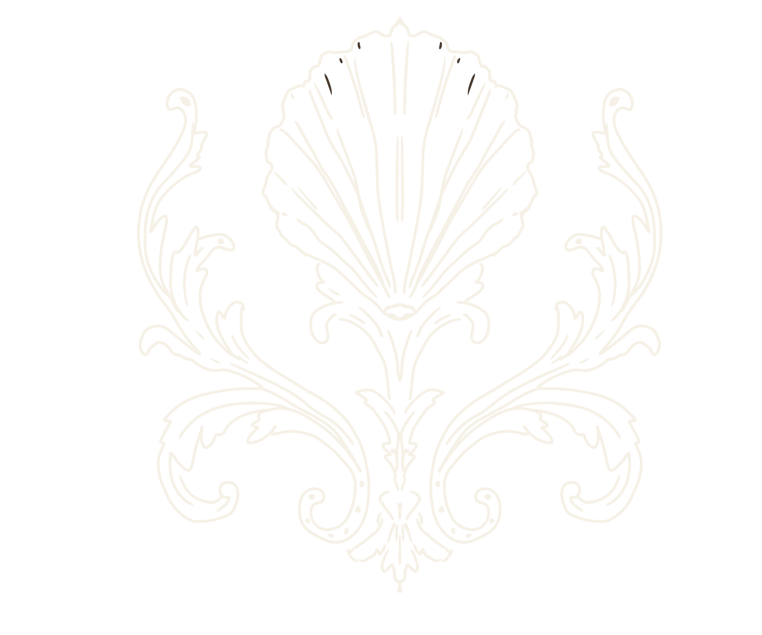 White outline of a decorative butterfly or moth with symmetrical wings on a black background.