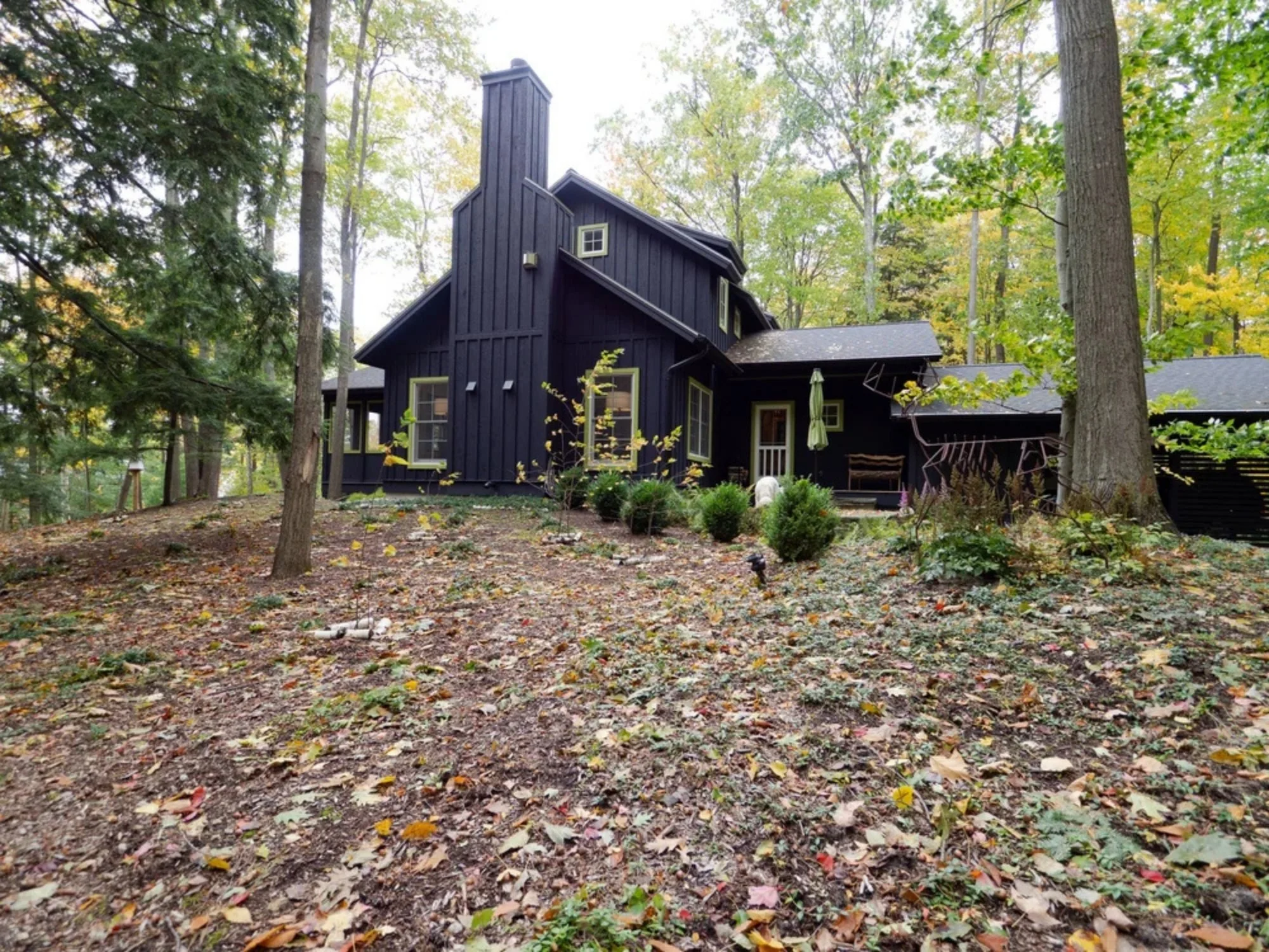 woodland-retreat-old-school-builders-4.jpg