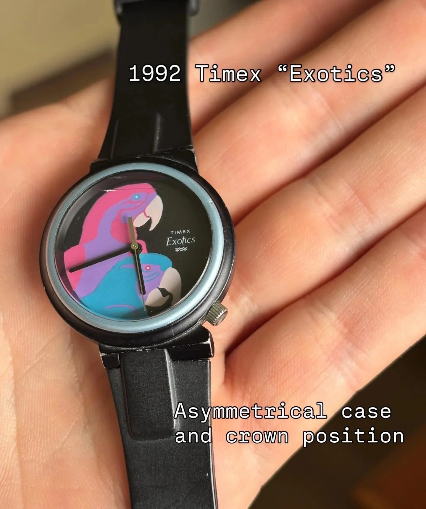 E50CEEB2-D06A-4475-BC57-7AAD109F12CA.jpg