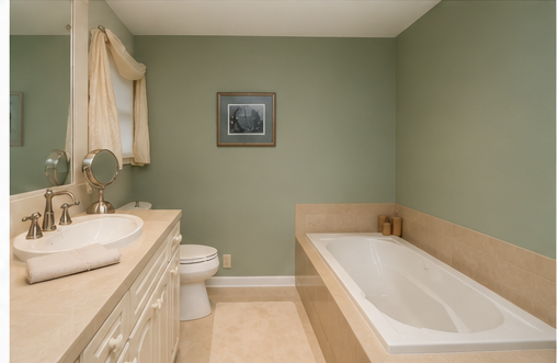 sage_bath_tub_view.png