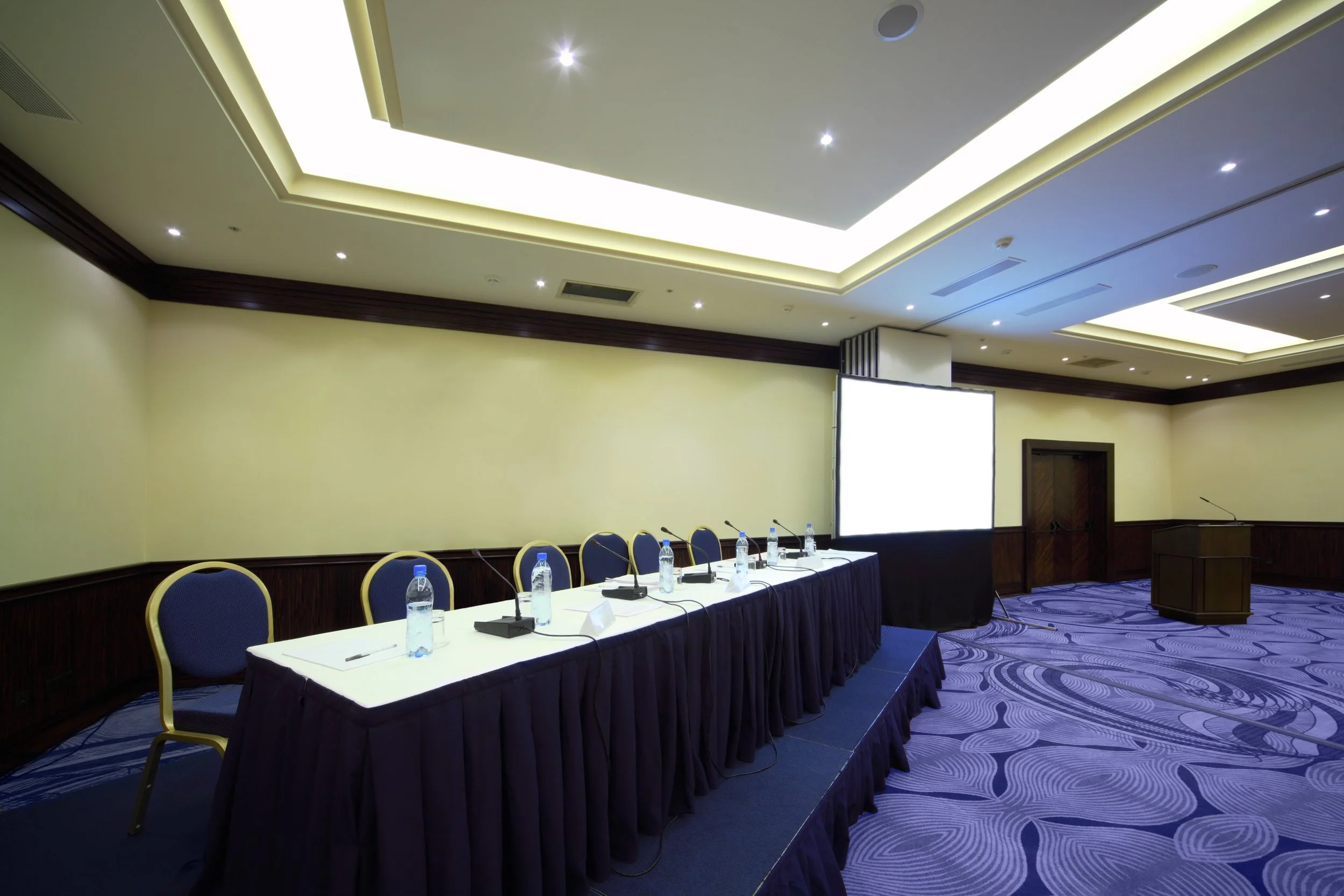 Panel discussion setup with projection and display support