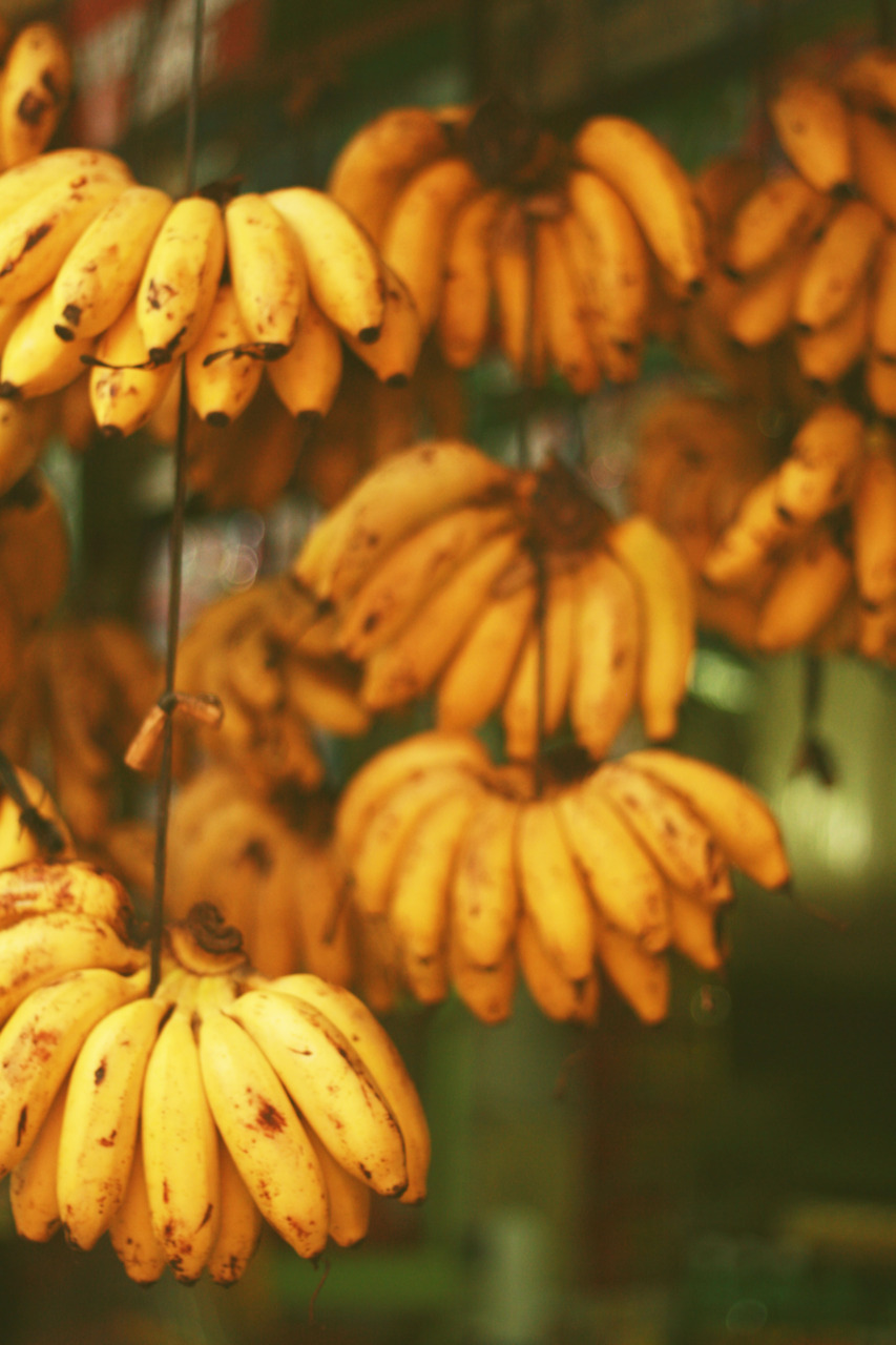 tumblr_lpn95ydeGE1qlb0z7o1_1280.jpg