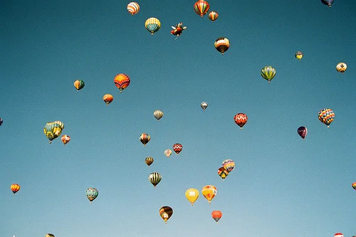 tumblr_lkwulzwL3t1qgujfno1_500.jpg