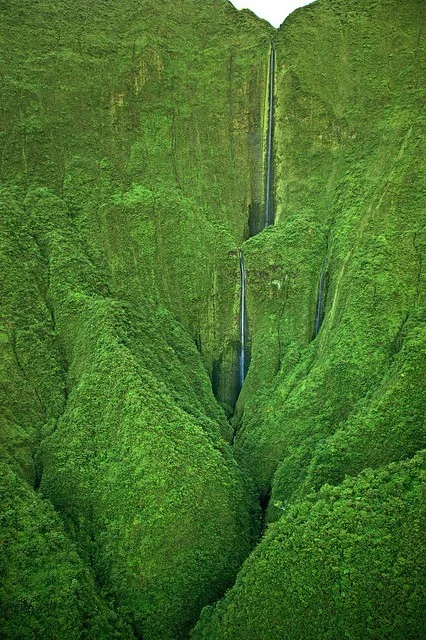 tumblr_m1ap7tL5l21qa9ddao1_500.jpg
