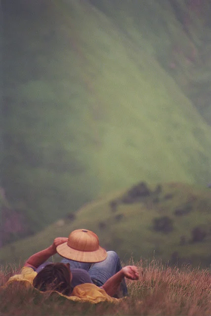 tumblr_m094p4eJdH1qzsb00o1_500.jpg
