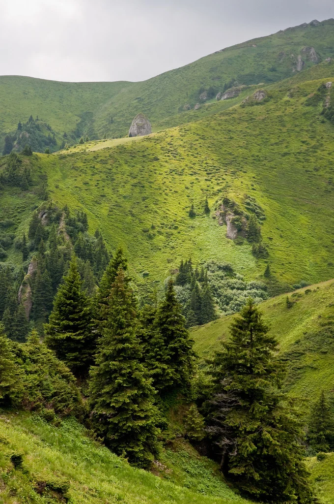 tumblr_lzxpedBcsC1qa4mrto1_1280.jpg