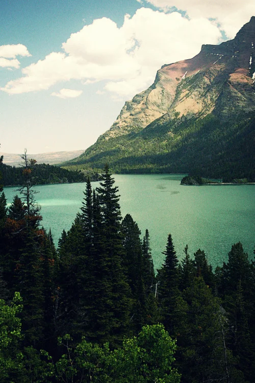 tumblr_m41qm4q5971r2uuoao1_500.jpg