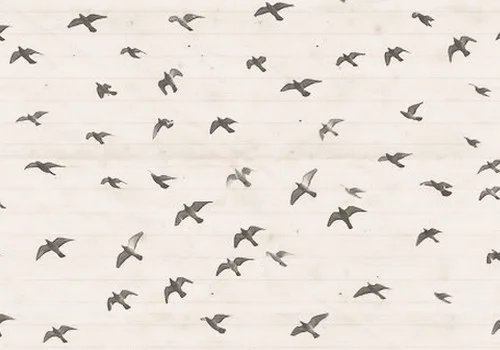 tumblr_m5ohsxRQIJ1r0o7uao1_500.jpg