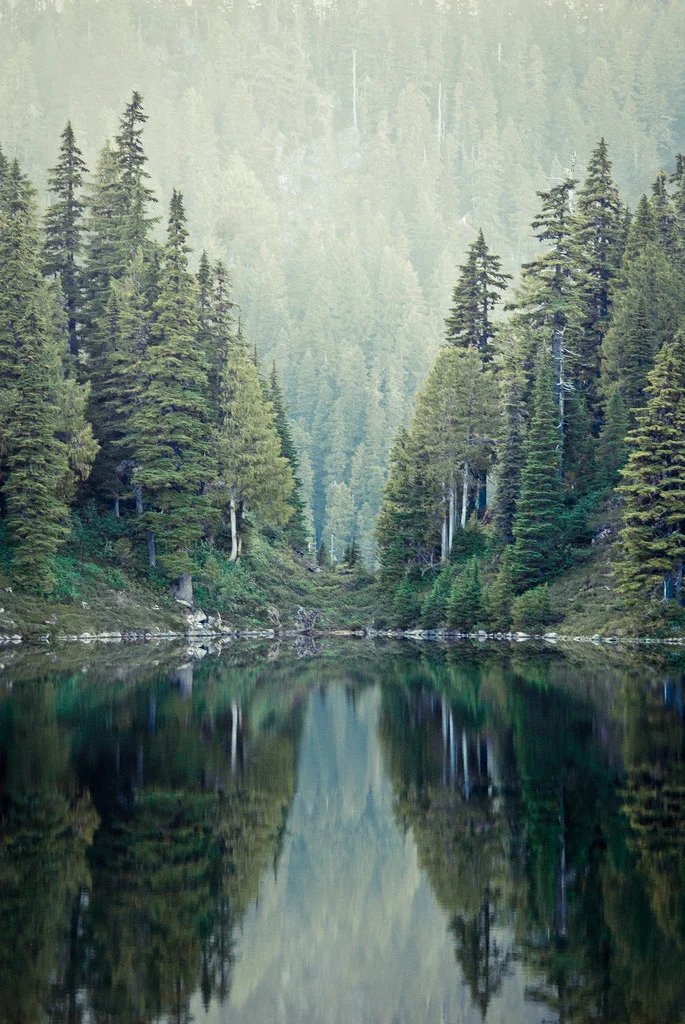 tumblr_mbhl2w5dNV1qb5t88o1_1280.jpg