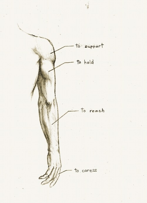 tumblr_ma0dt5hRr51qen8foo1_500.jpg